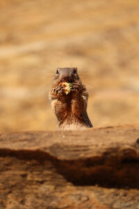 20240723073423_IMG_7688