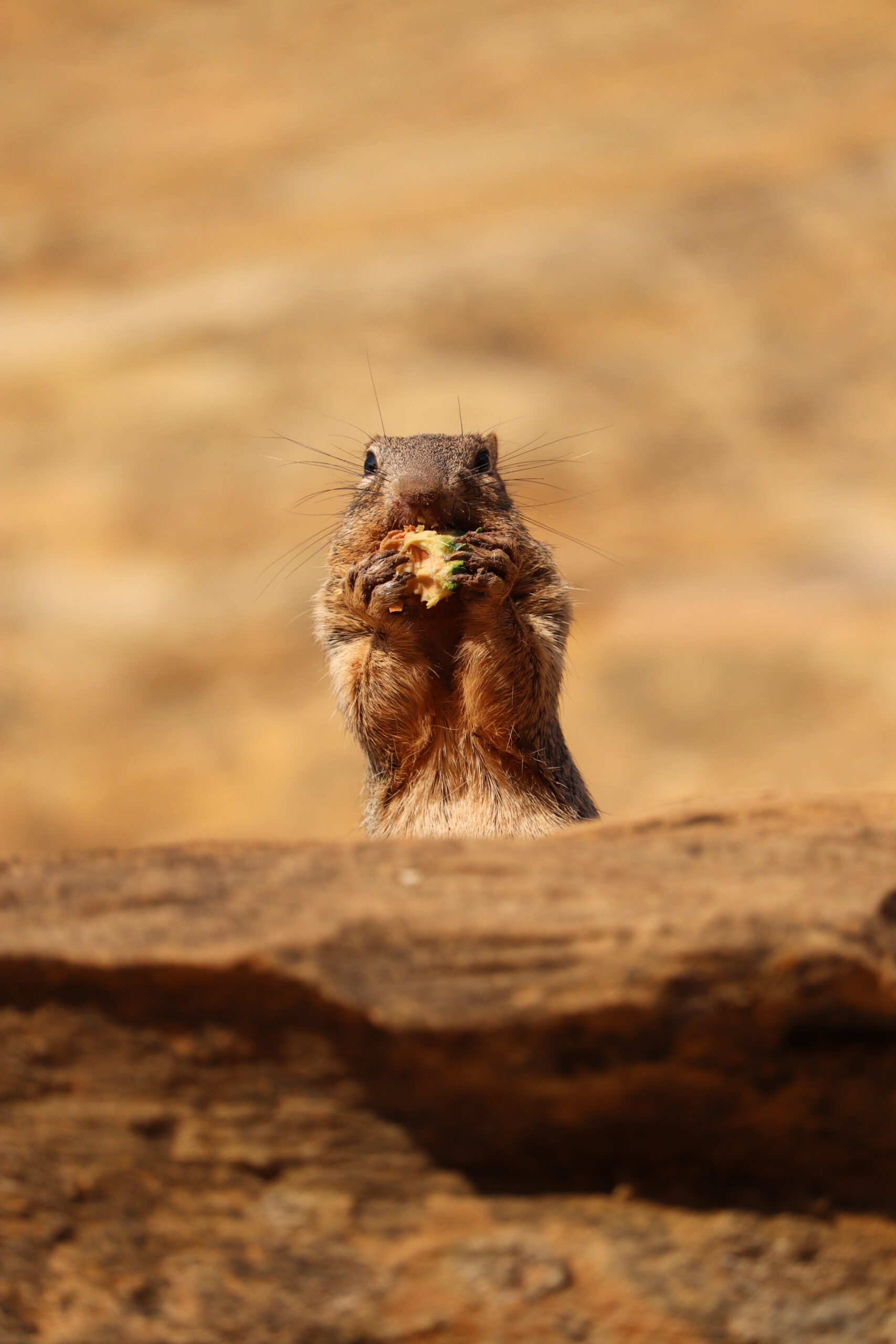 20240723073423_IMG_7688