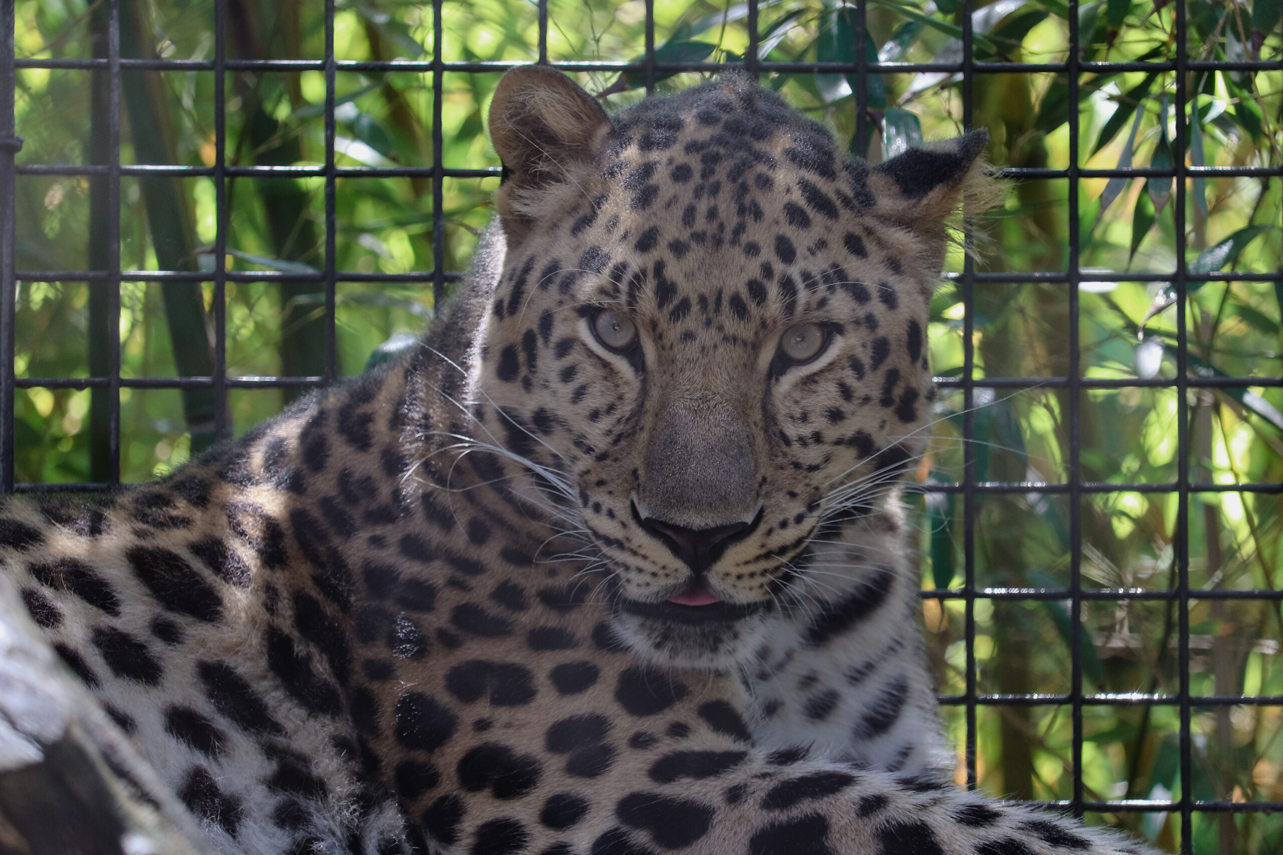 20240806114419_IMG_8138